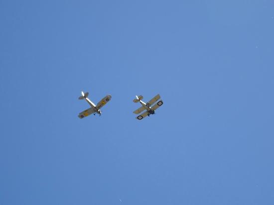 The Vintage Aviator Museum